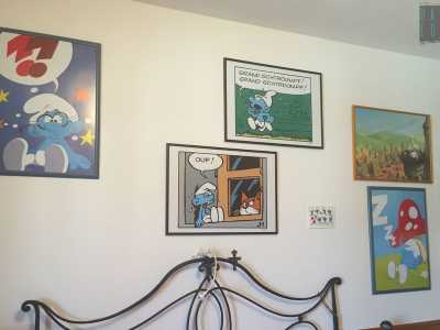 La sua passione � tale che le pareti della sua stanza sono arricchite anche da una serie di quadri che ritraggono i piccoli gnomi blu, pezzi altrettanto rari acquistati da un museo di Bruxelles, il �Moof Museum�, un museo dedicato ai personaggi del fumetto, dove Francesco fa tappa fissa ogni anno